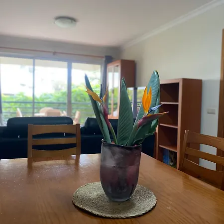 Lägenhet Costa Do Sol V Funchal (Madeira)