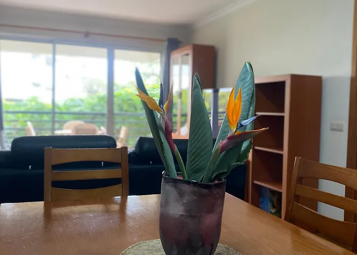 Apartman Costa Do Sol V Funchal